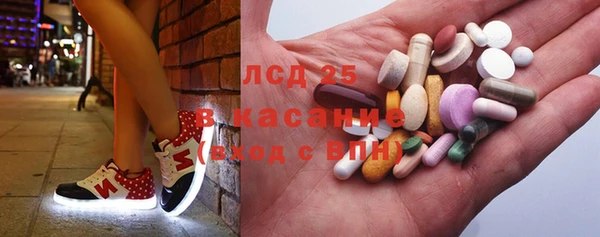 сатива Новокубанск