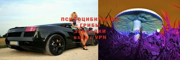 крисы Лагань