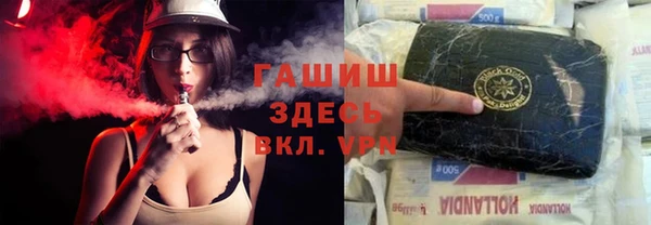 стаф Новозыбков
