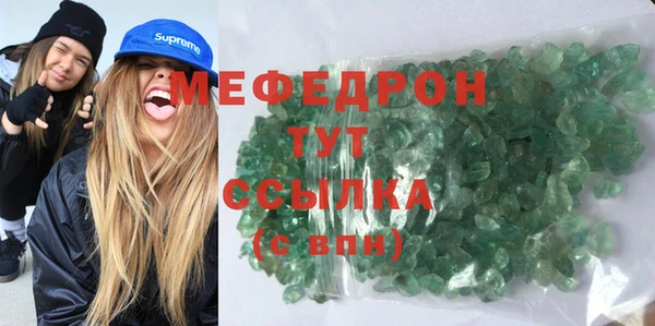 стаф Новозыбков