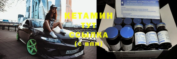 сатива Новокубанск