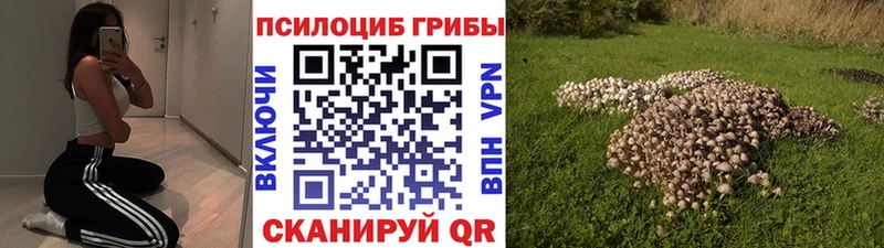 Галлюциногенные грибы мицелий  закладки  Кола 